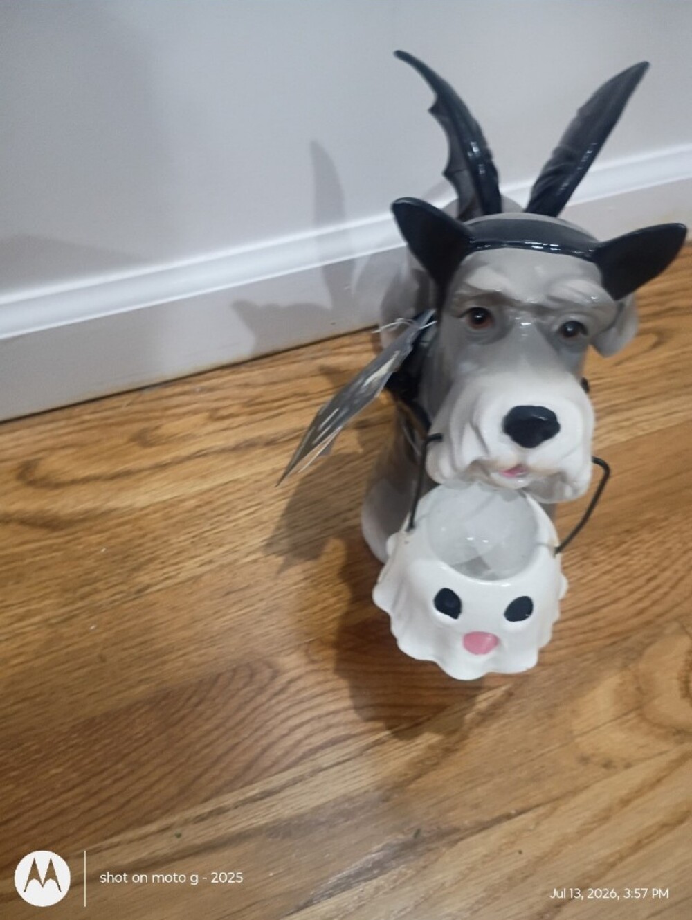 Schnauzer Halloween Dog With Bat Wings &Candy Holder. - Picture 5 of 5